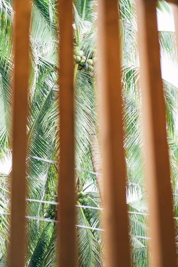 Appartamento Diwa Siargao Eco-House General Luna  Esterno foto